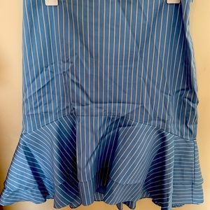 Elegant and fancy skirt